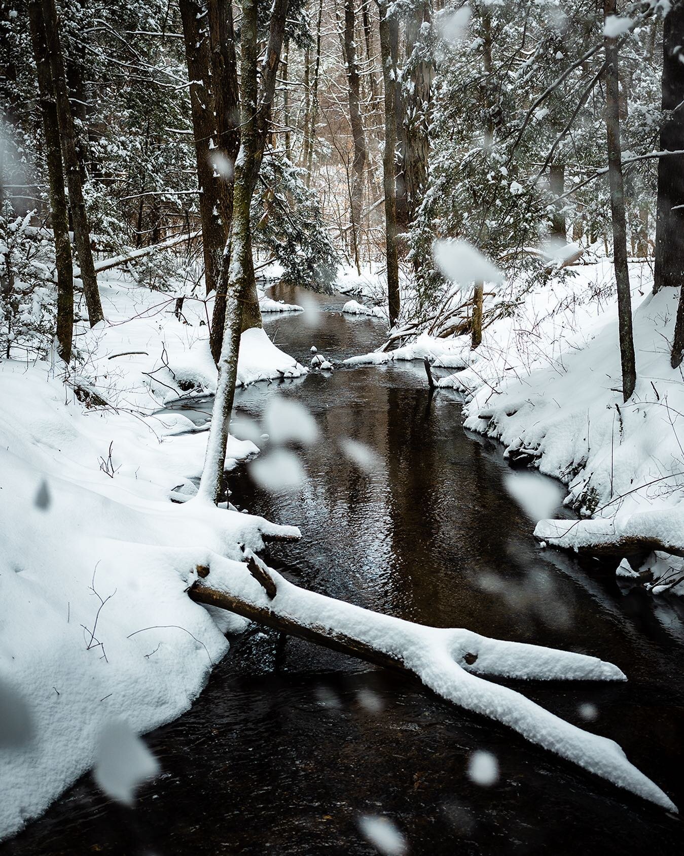 A nice little spot to visit in the snow ❄️