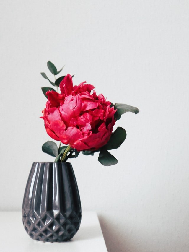 18 Fabulous Black Vases — Vases HQ