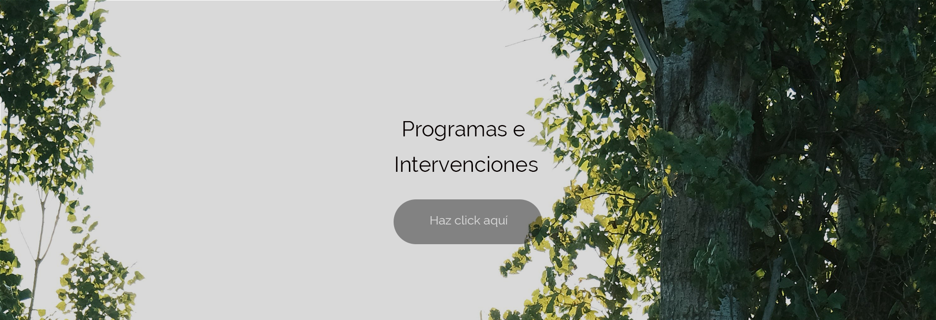 slider-intervenciones_v4_2027.png