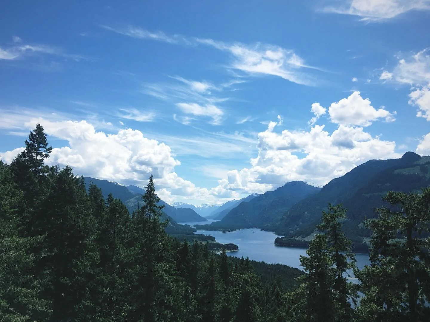 2016 continued&hellip; Just cause

Just cause this was the year that completely changed the trajectory of my life. 
It was the year of taking great big leaps of faith and witnessing my strength rise to meet the longing of my heart.
It was the year wh