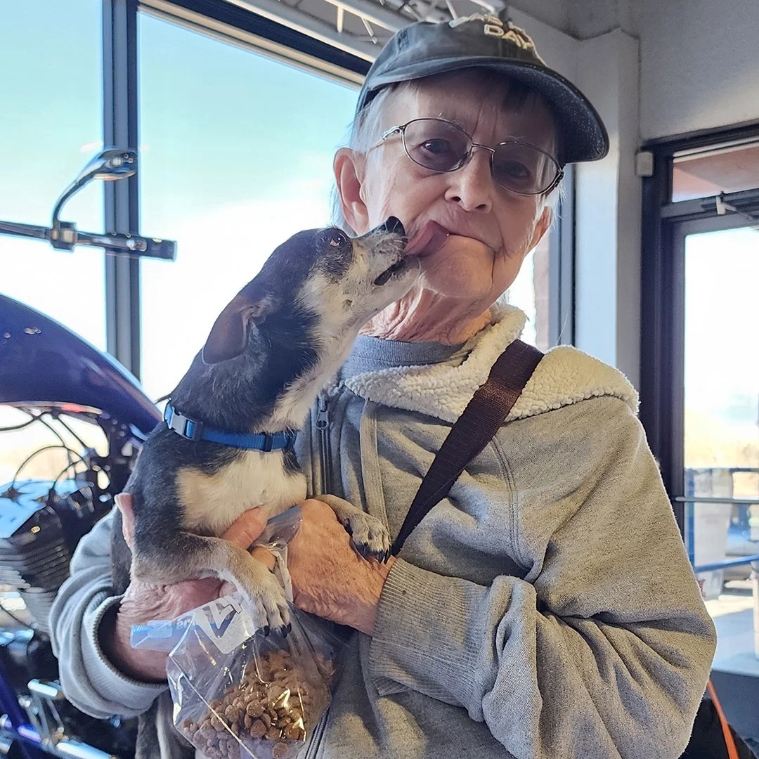 Squeaky, the charming Chihuahua mix, finds his forever home with his loving foster-to-adopt mom at the joyful R&S Motor Sports adoption event! A paw-fect match!