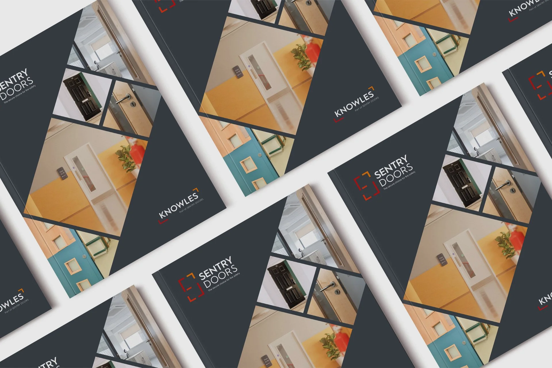 sentry-doors-backroom-cover.jpg