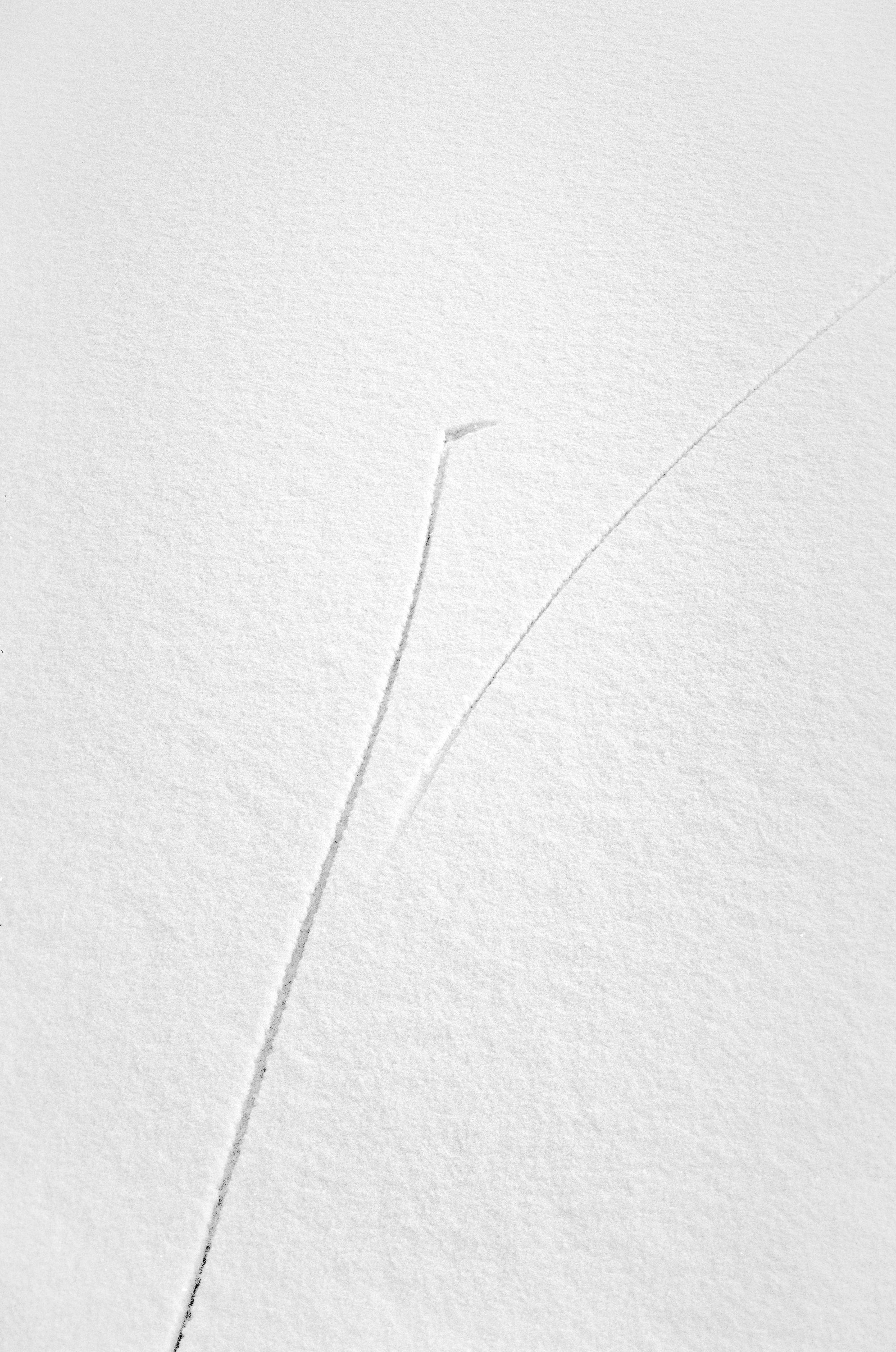 Skøytespor I (1999)