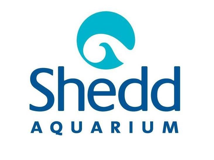 Shedd logo.jpg