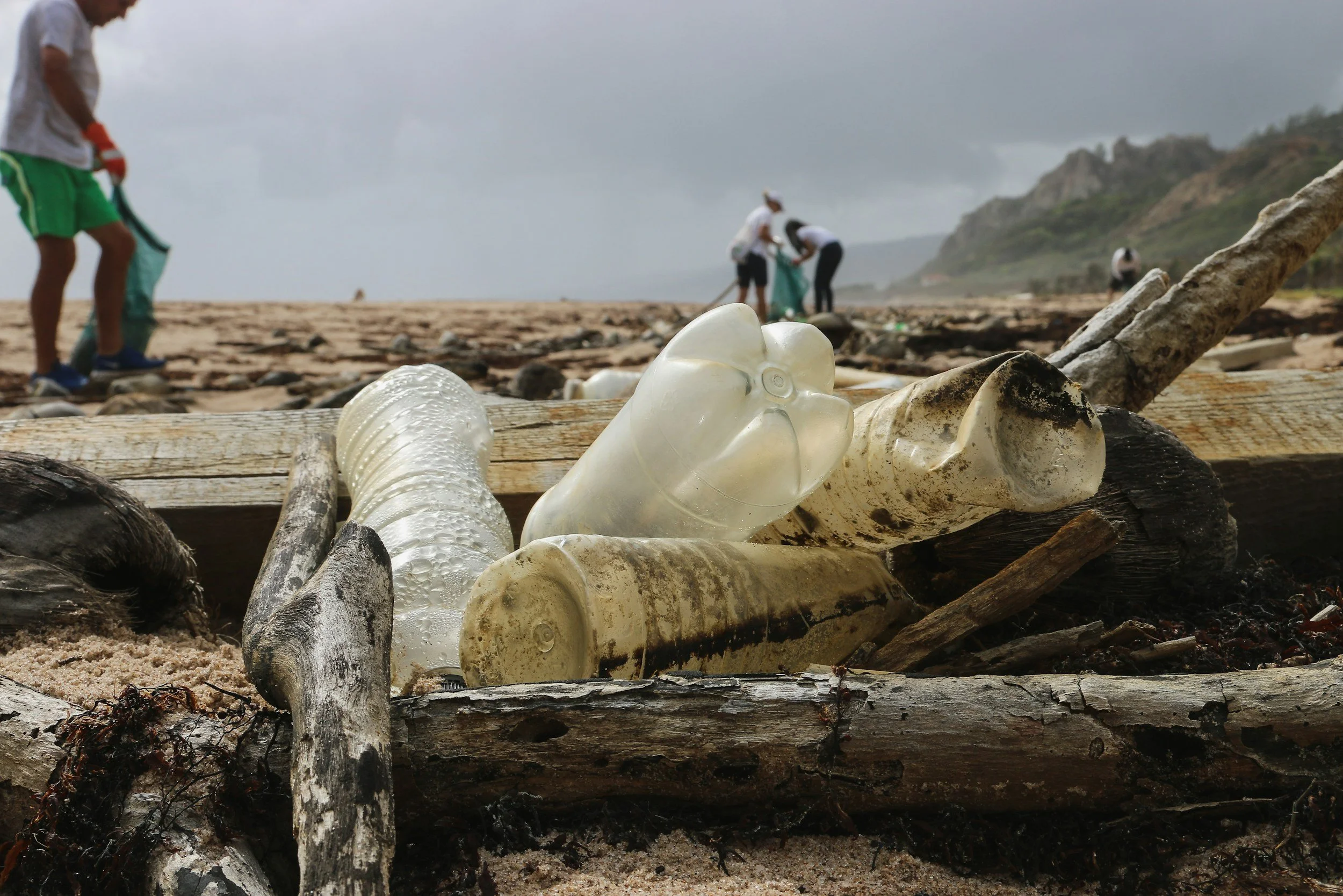 beach cleanup fact sheet