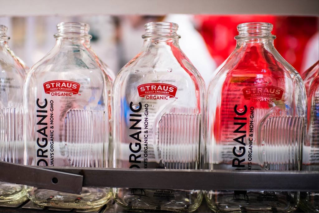 glass milk bottles on a production line
