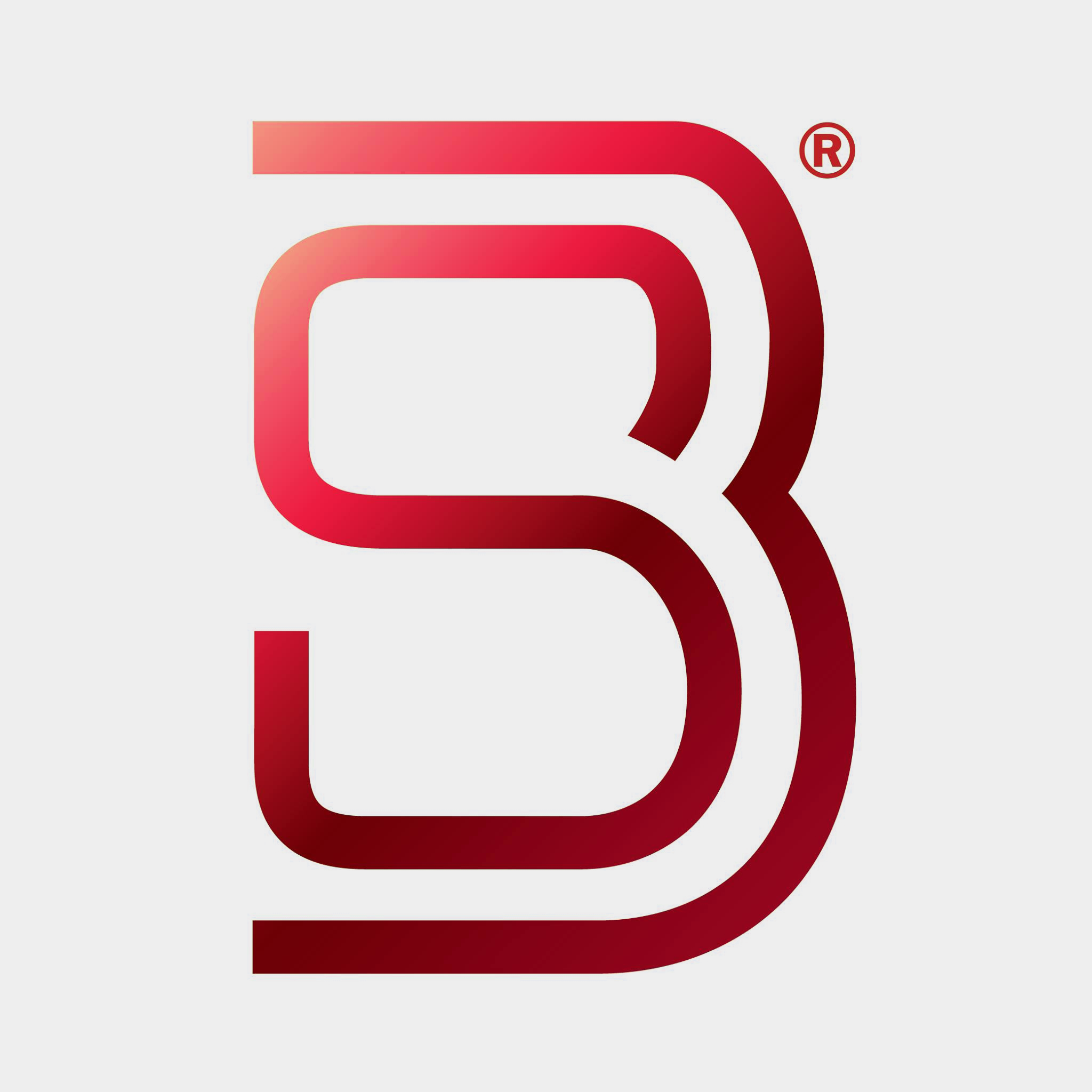 bleckmann logo