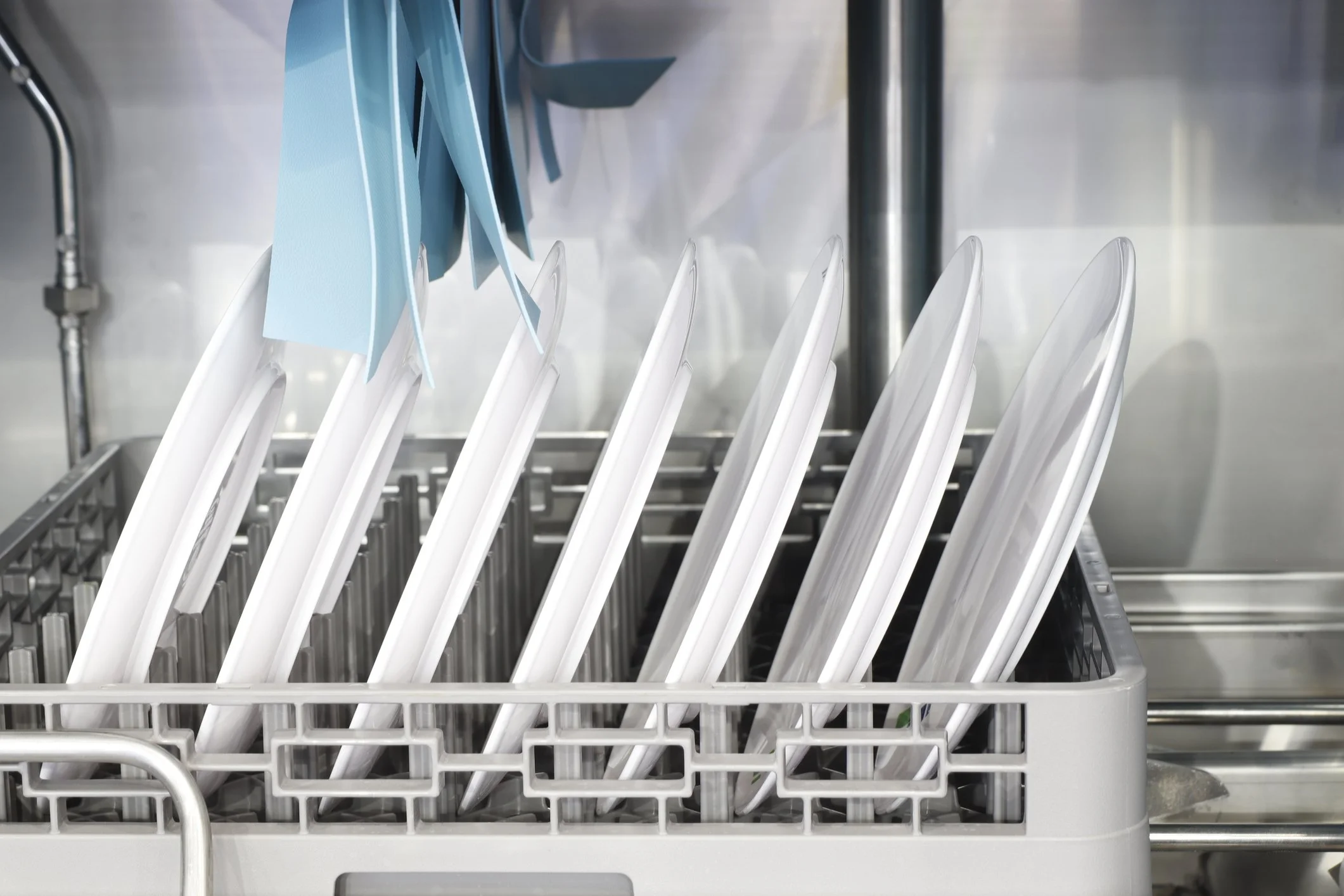 plates in an industrial dishwasher