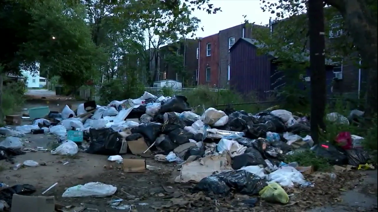 neighborhood lane full of trash bags and litter