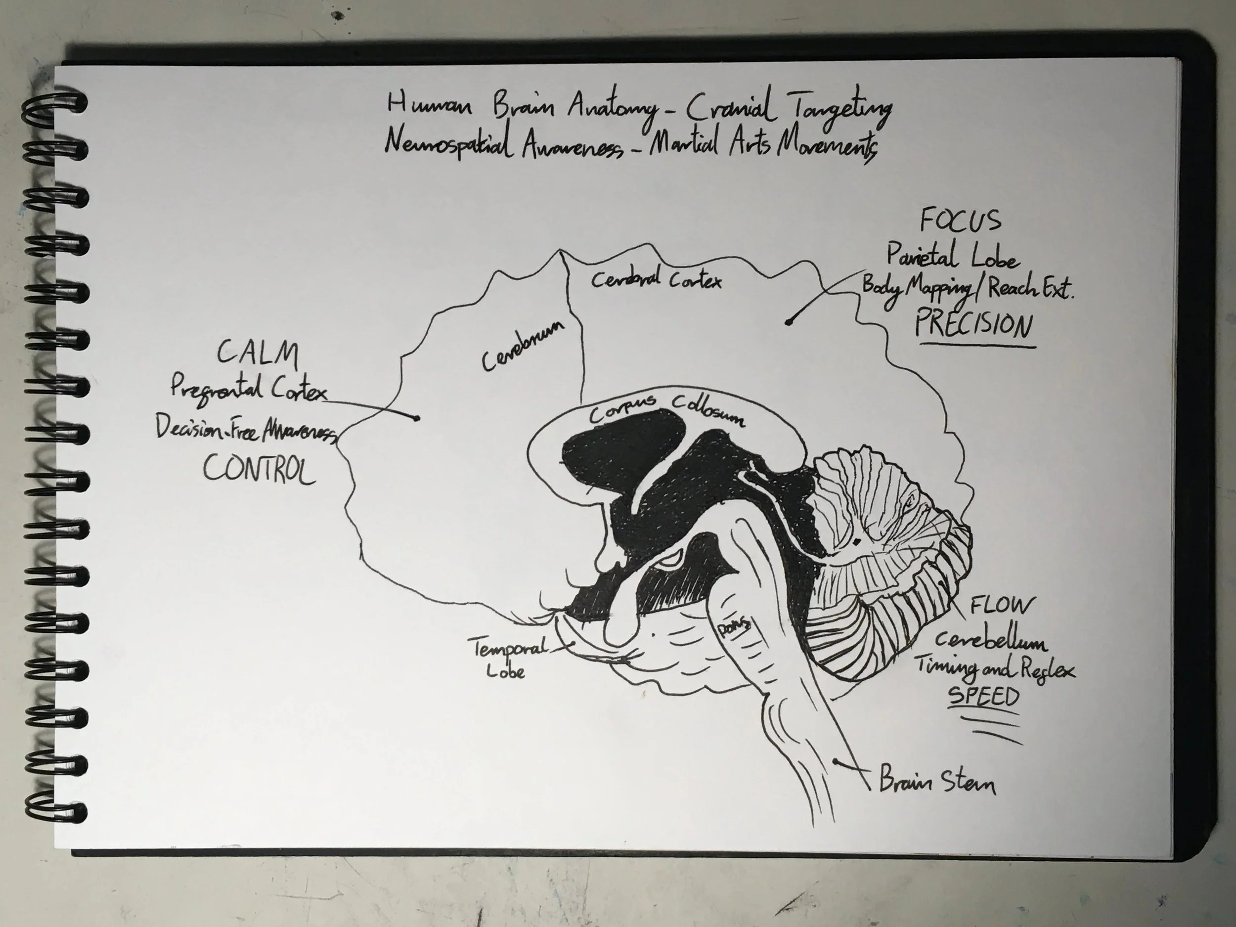 Bruce Lee fusion inspired way to control mood, flow, instincts, intelligence and neuroplasticity via breathwork, intention and brain / body awareness.