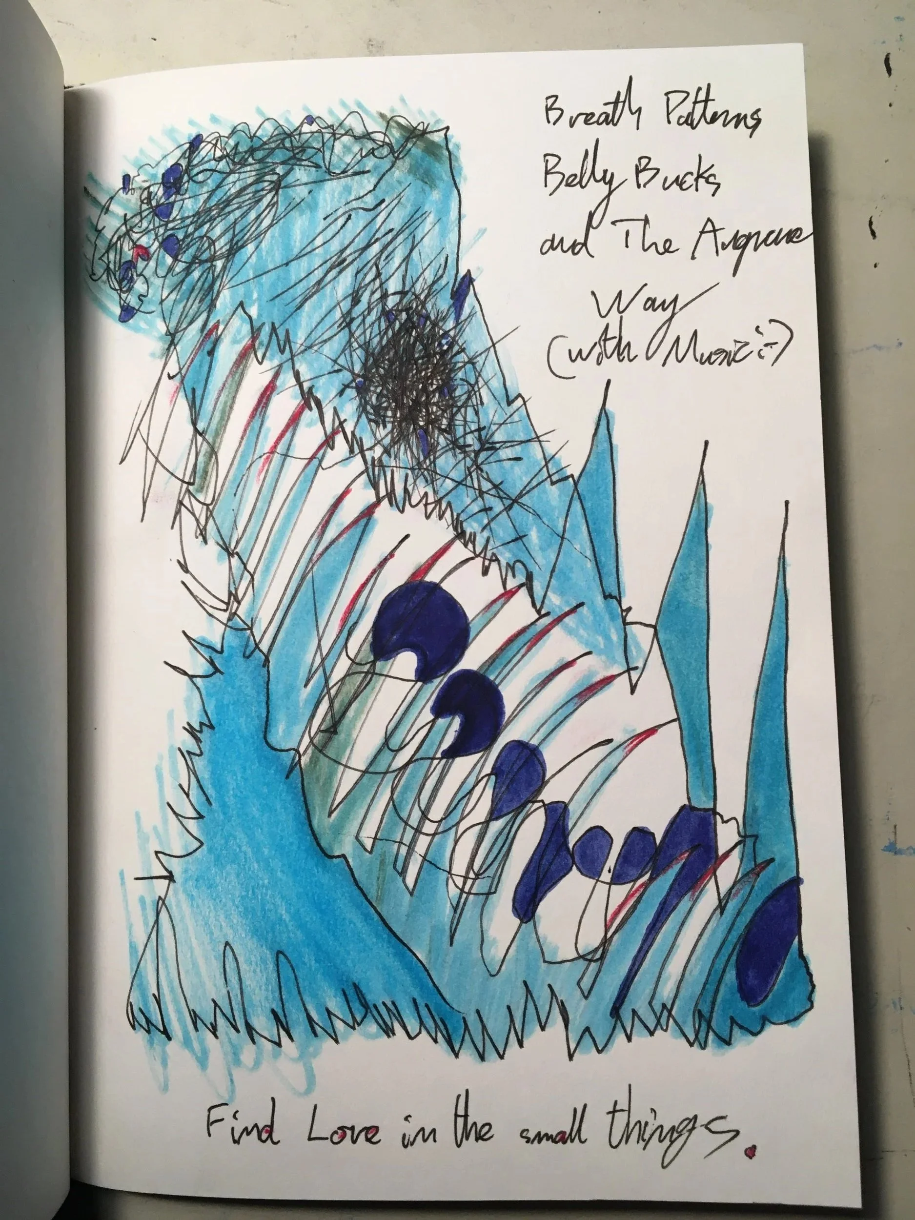 A breath pattern I invented after 50 others that can rebalance the human systems in minutes.