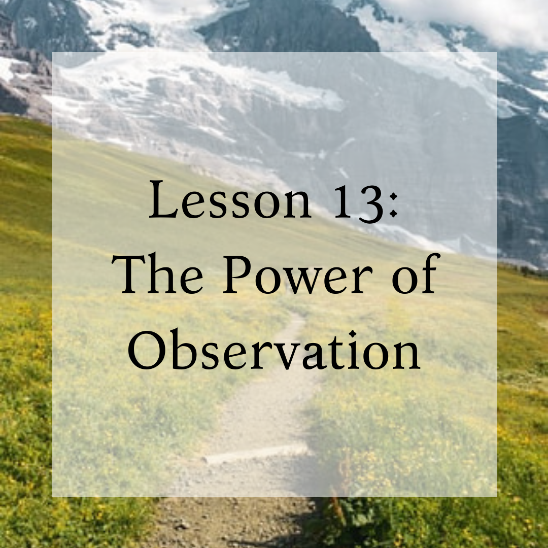 Lesson 13: The Power of Observation