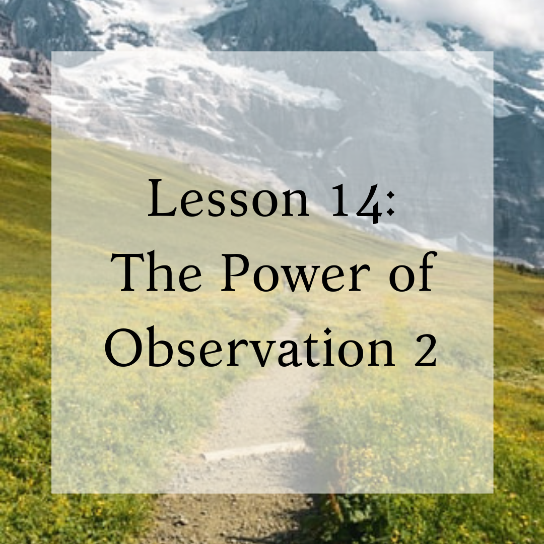 Lesson 14: The Power of Observation 2