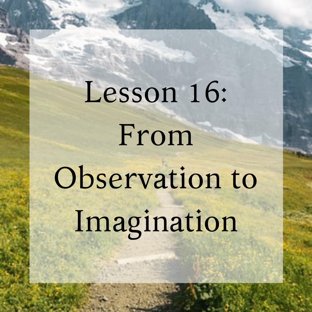 Lesson 16: From Observation to Imagination