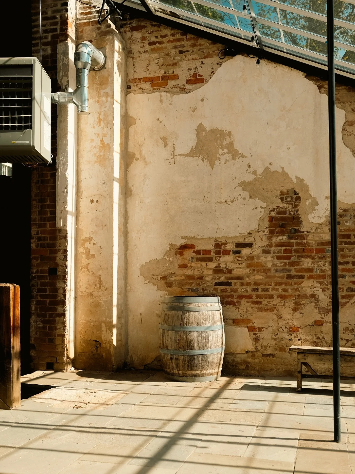 Quiet strolls through serene fall gardens. What more could I ask for 😊

#historicarchitecture #poeticdocumentary #fallgarden #fallstroll #historicbuildings #oatlands #oatlandshouse