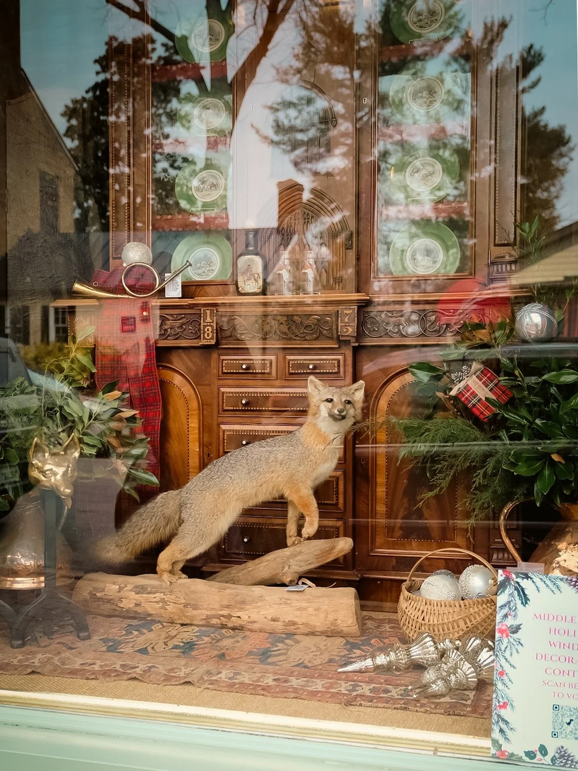 Bringing you some Christmas spirit from @townofmiddleburg