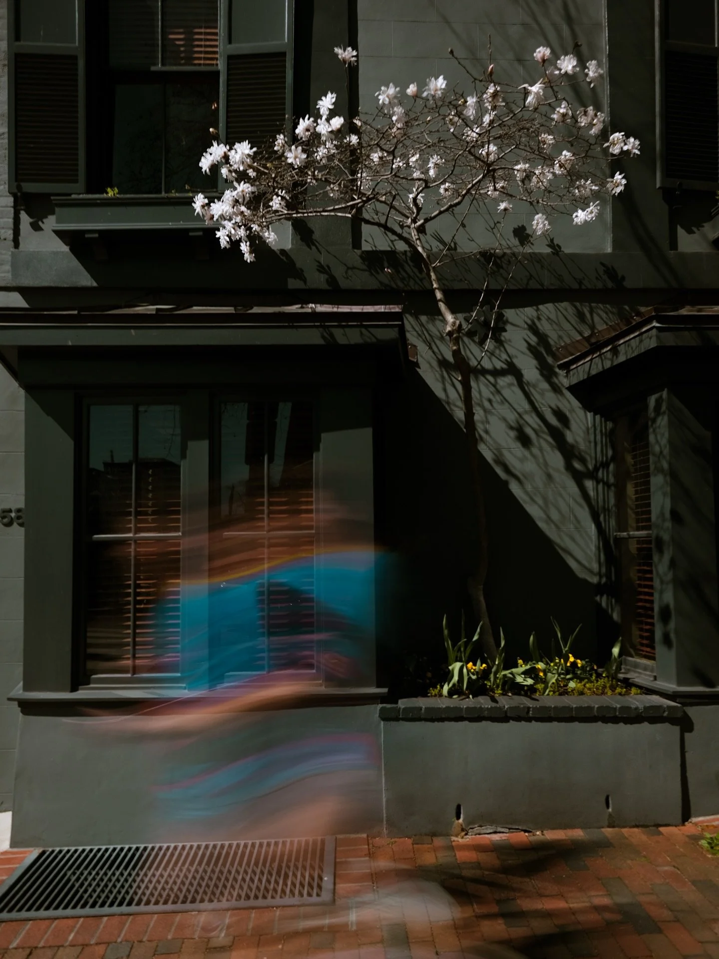 Catching sunny days whenever possible

#dcstreetphotography 
#washingtondclife 
#dcphotographer 
#poeticdocumentary 
#cinematiclook