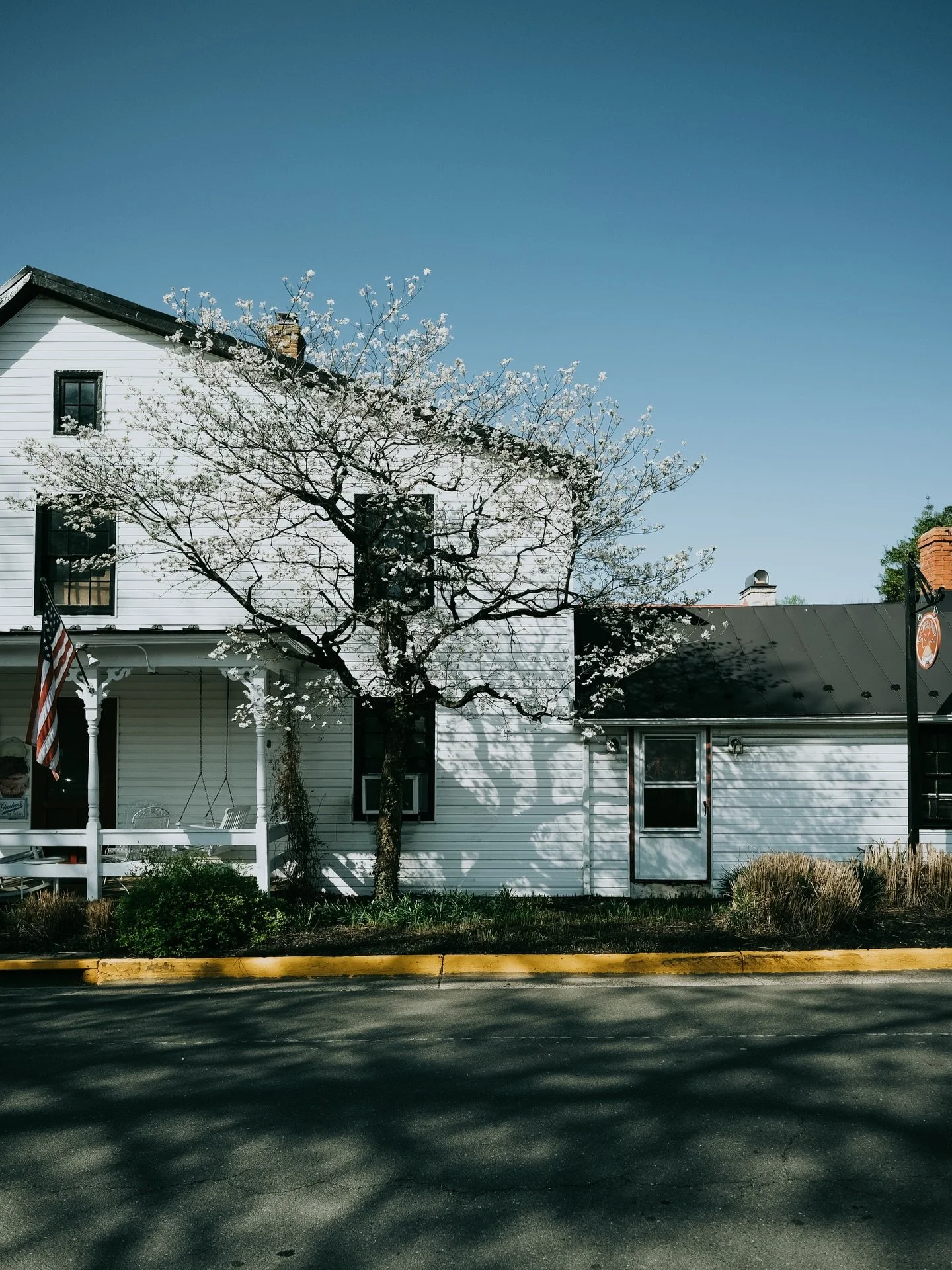 An essay on buildings and flowers, and how our permanent structures are decorated by transient blooms. 

#historicarchitecture 
#springstagram 
#poeticdocumentary 
#visitloudoun 
#vaisforlovers