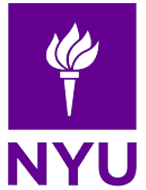 New York University