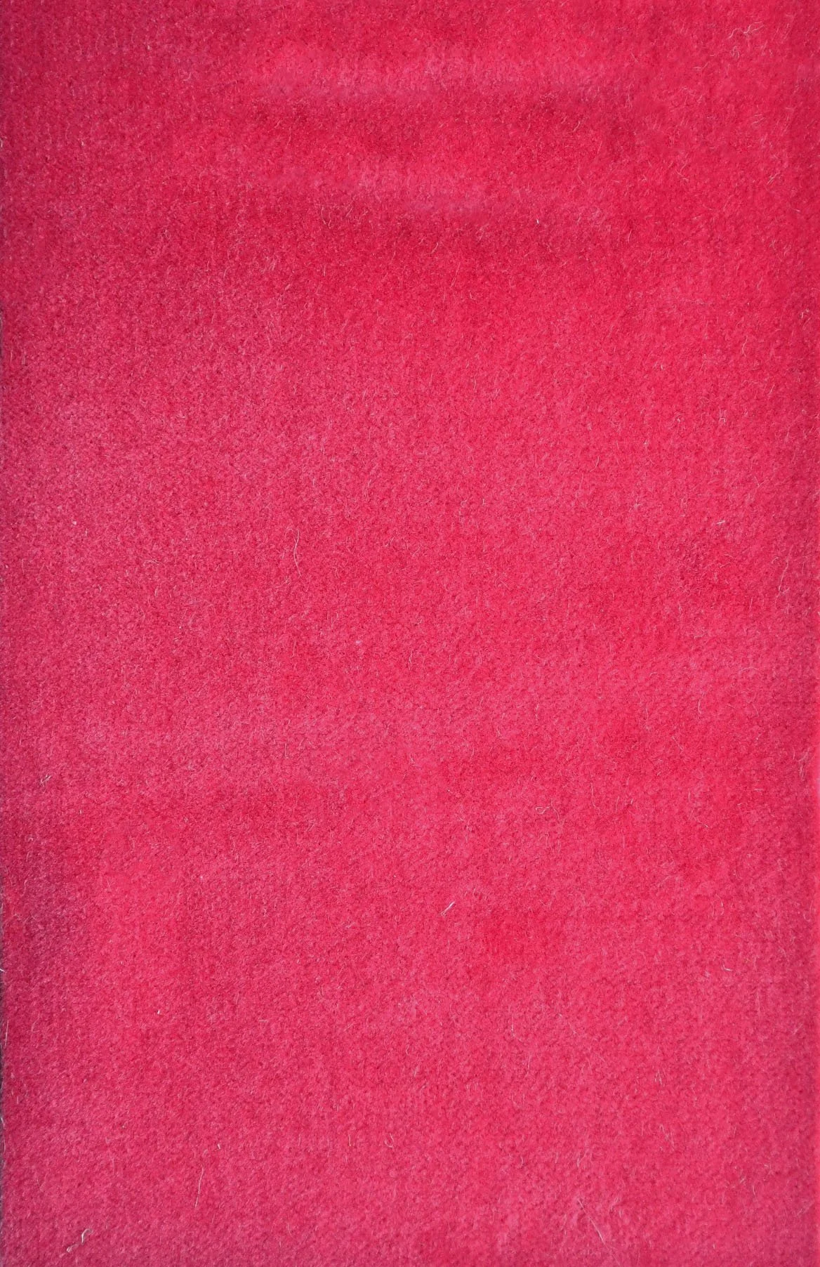 COTTON VELVET_Whoaah Pink.JPG