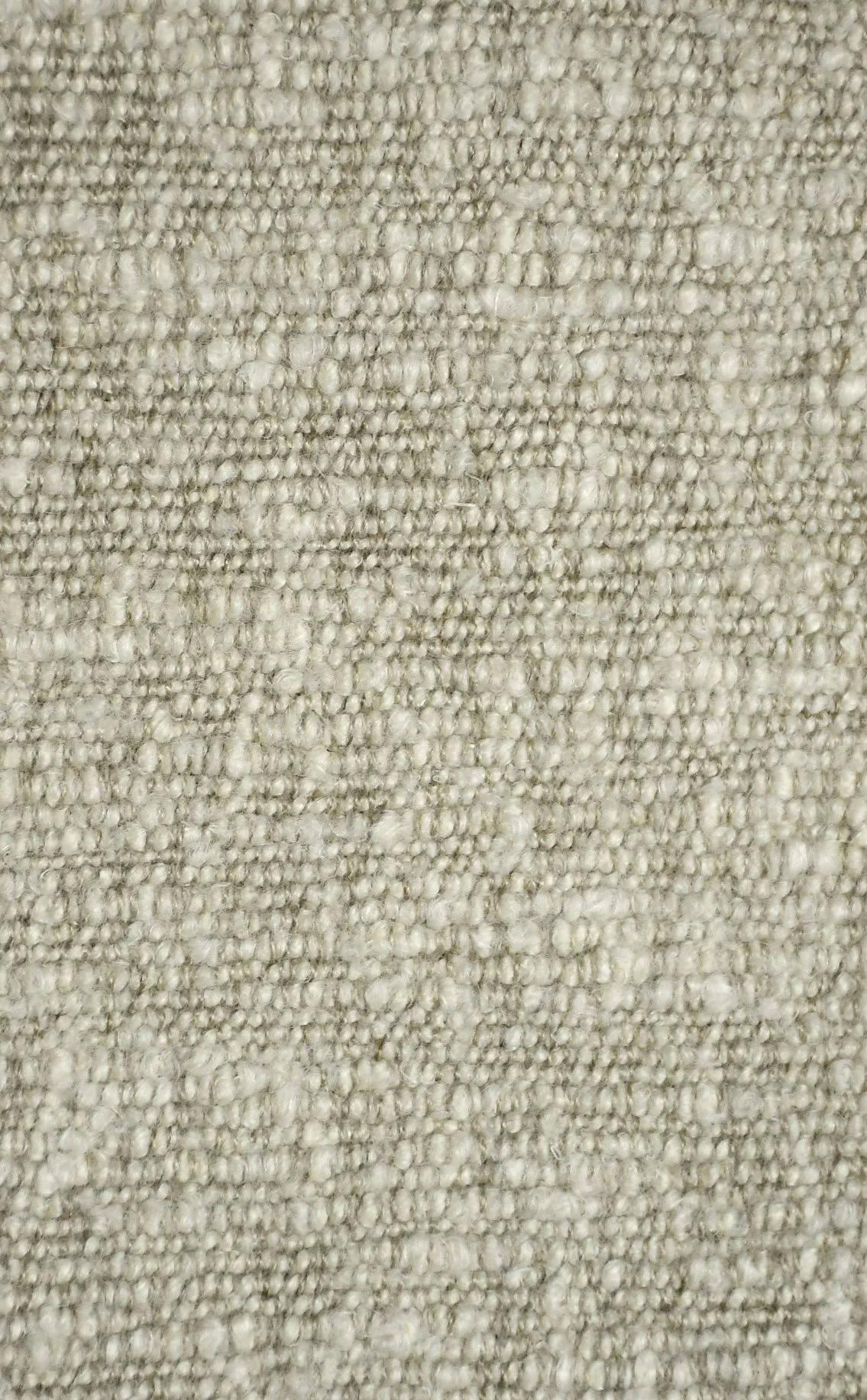 Wolf Creek Snow Leopard.JPG