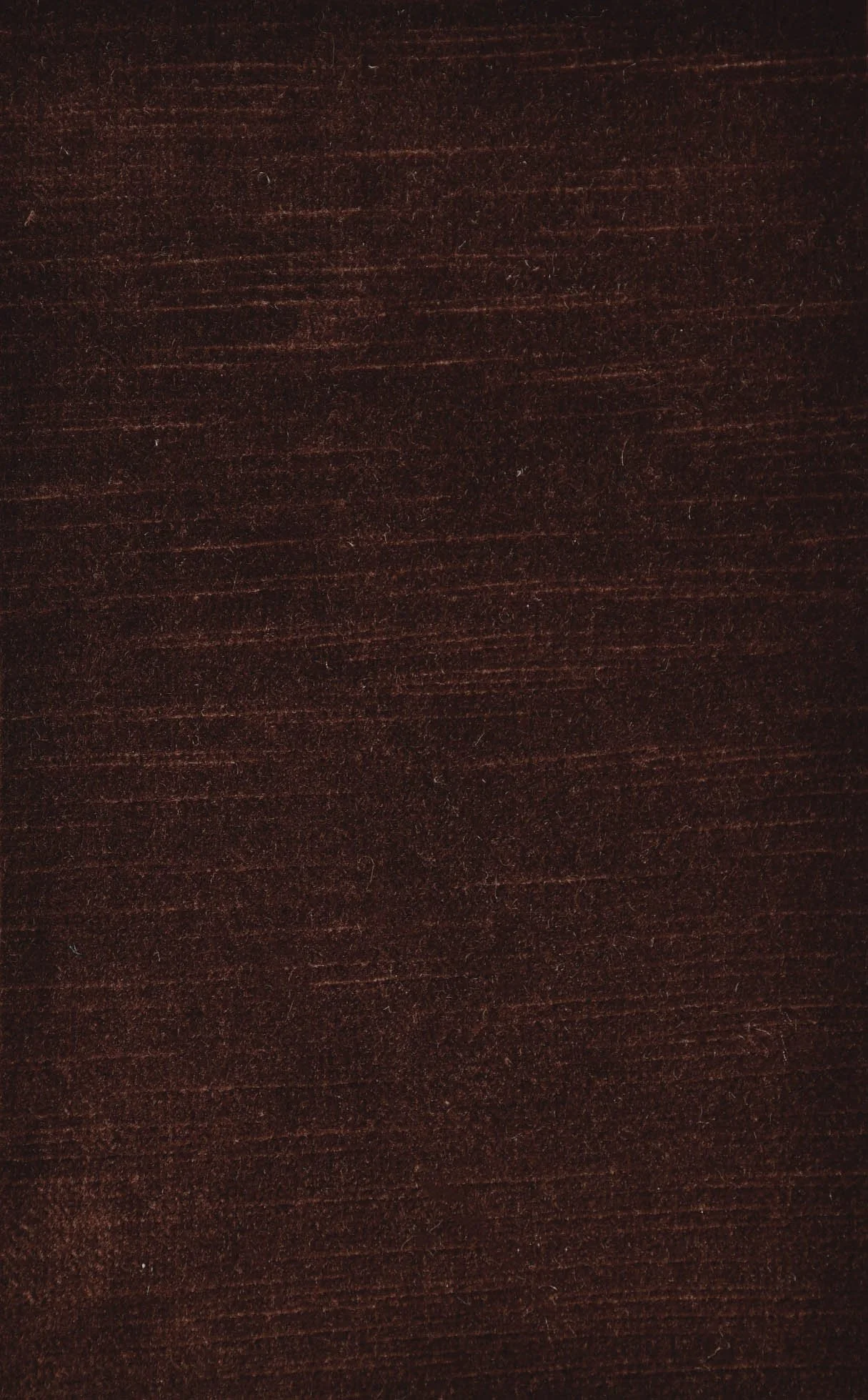 TEXTURED VELVET_sculpted_Noix_de_coco.JPG