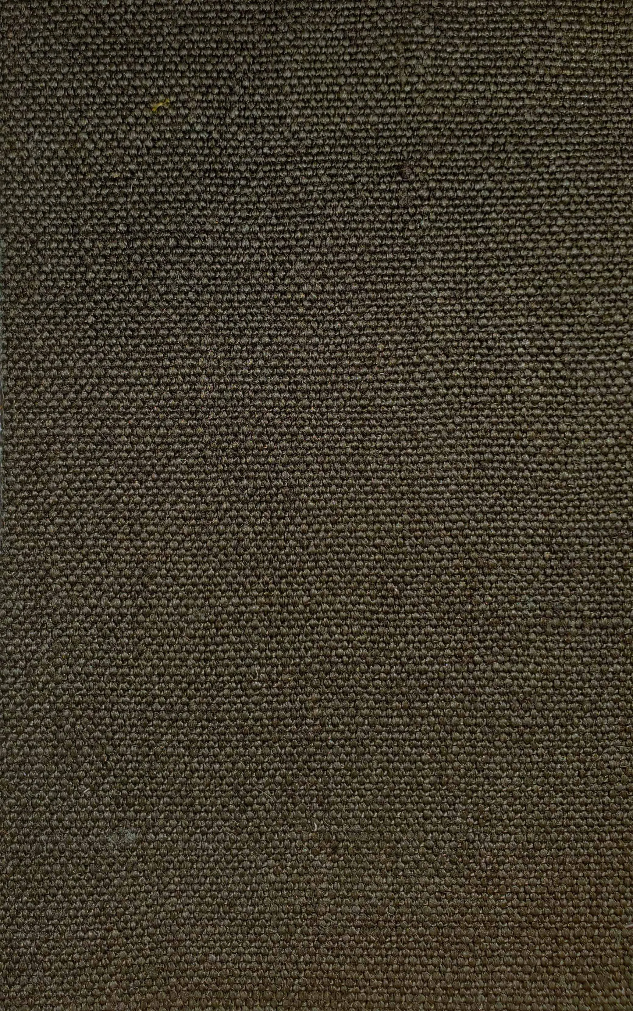 OUTDOOR 1_Noix de Coco.jpg