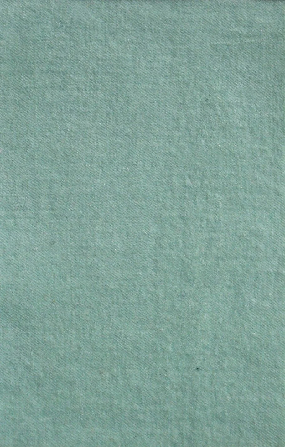 COTTON VELVET_Celadon.JPG