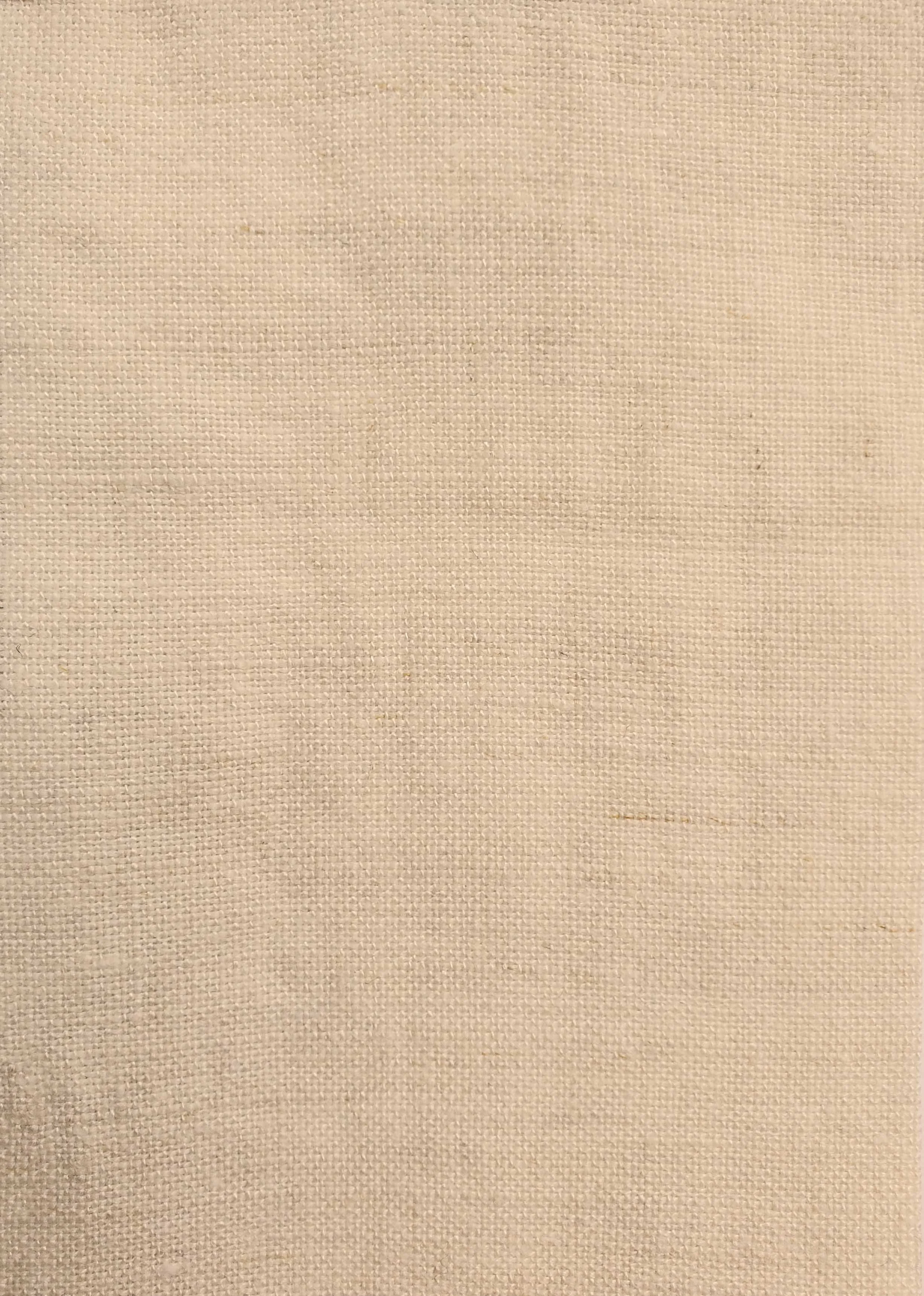 DELAVE LIGHT_Tusk.jpg