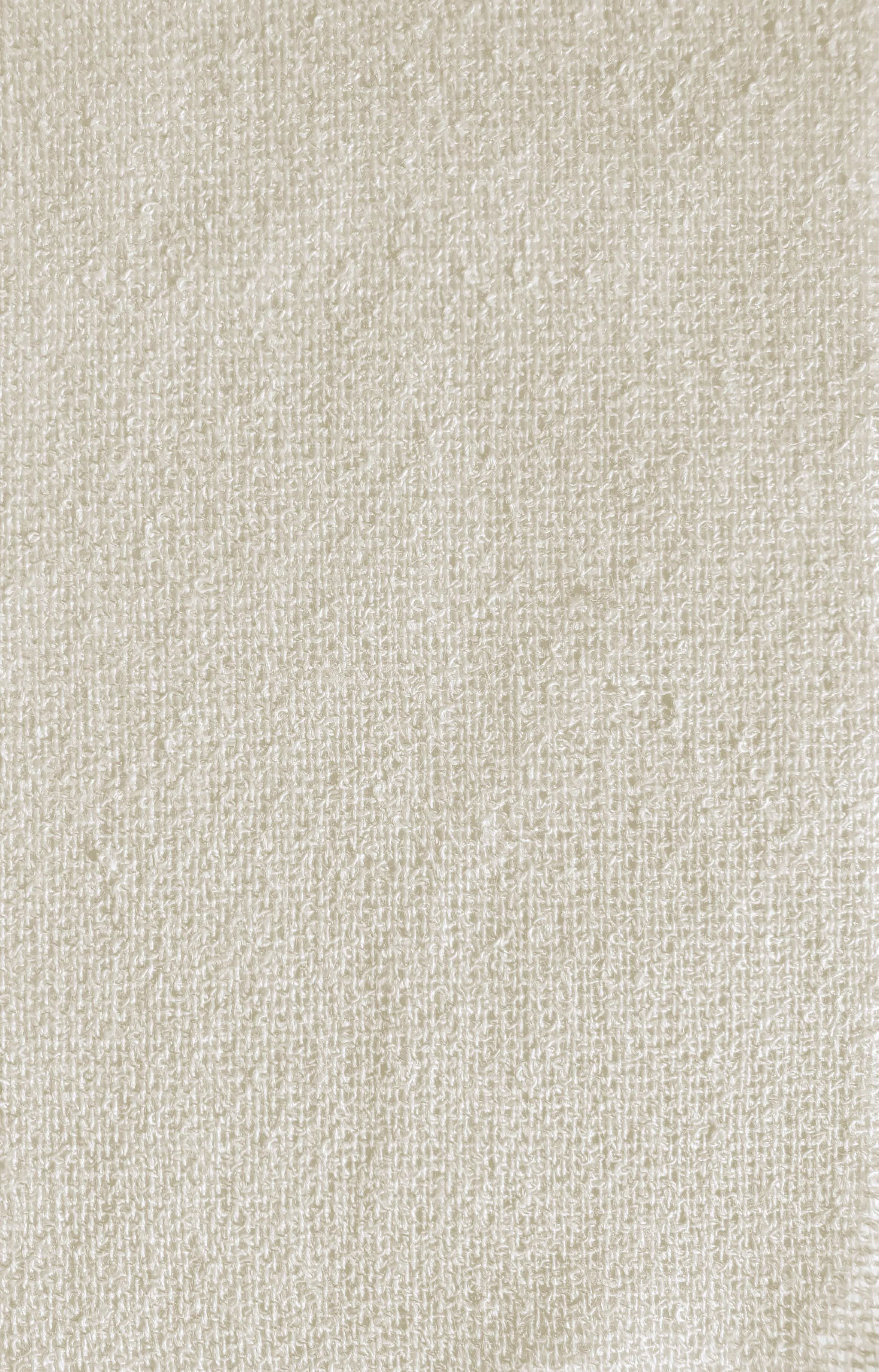 MORNING MIST_Warm Ivory.jpg