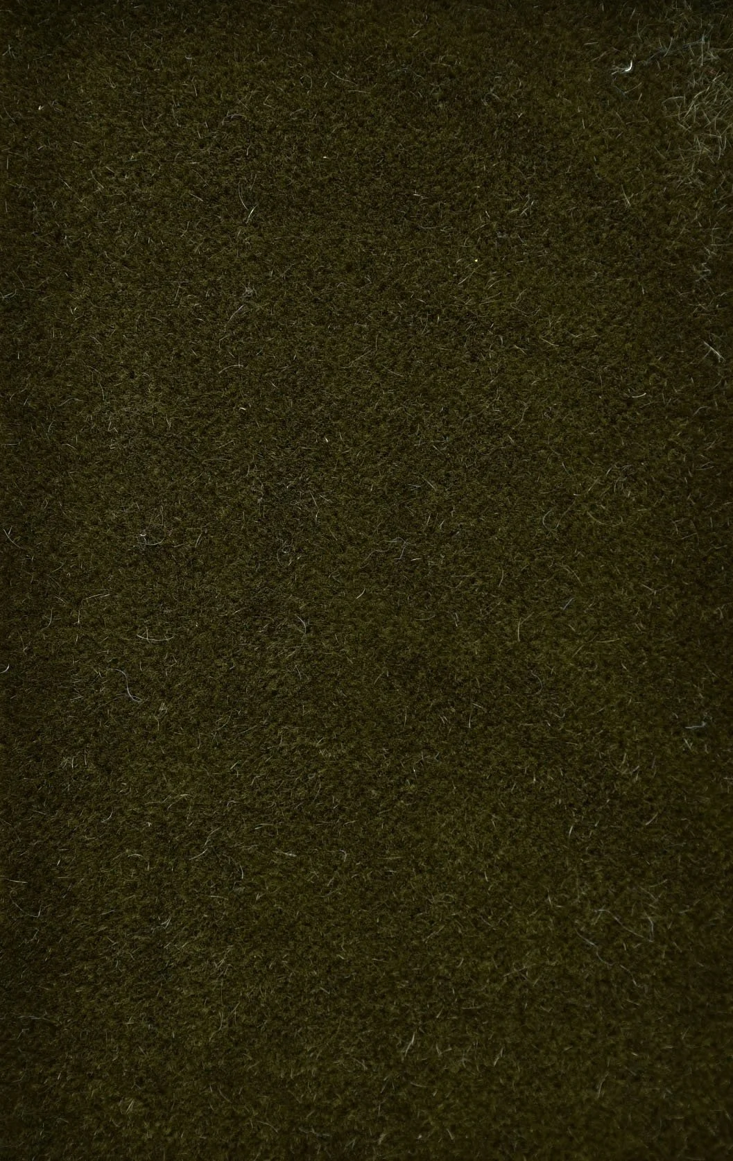 KID MOHAIR Forest Moss.JPG