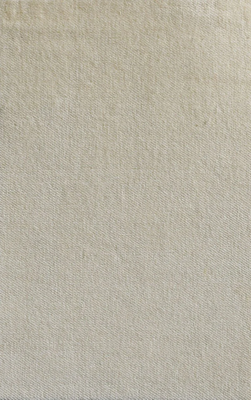 COTTON VELVET_Pearl.JPG