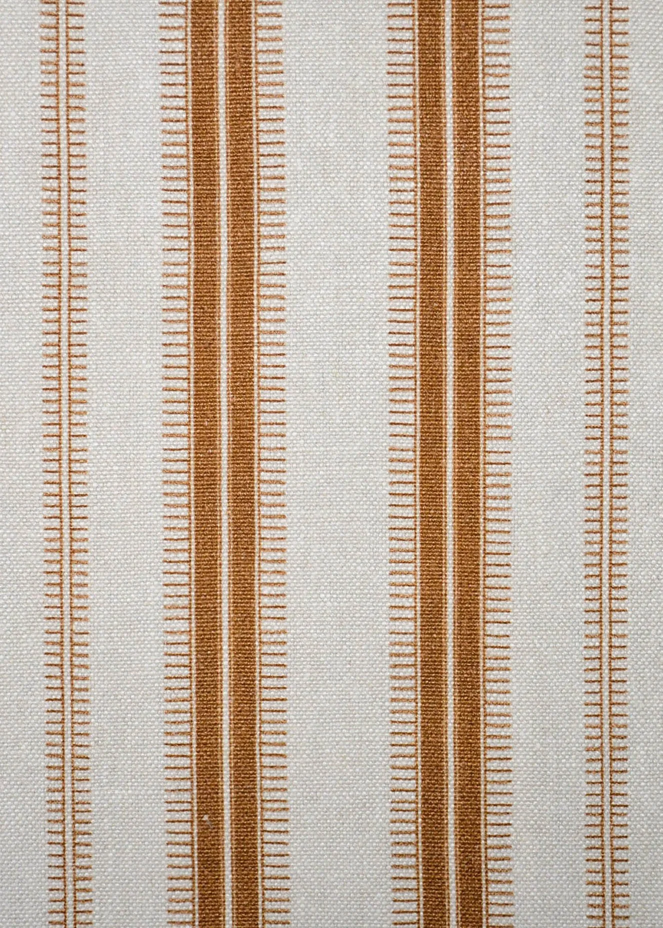 Zoom_Golden ochre.JPG