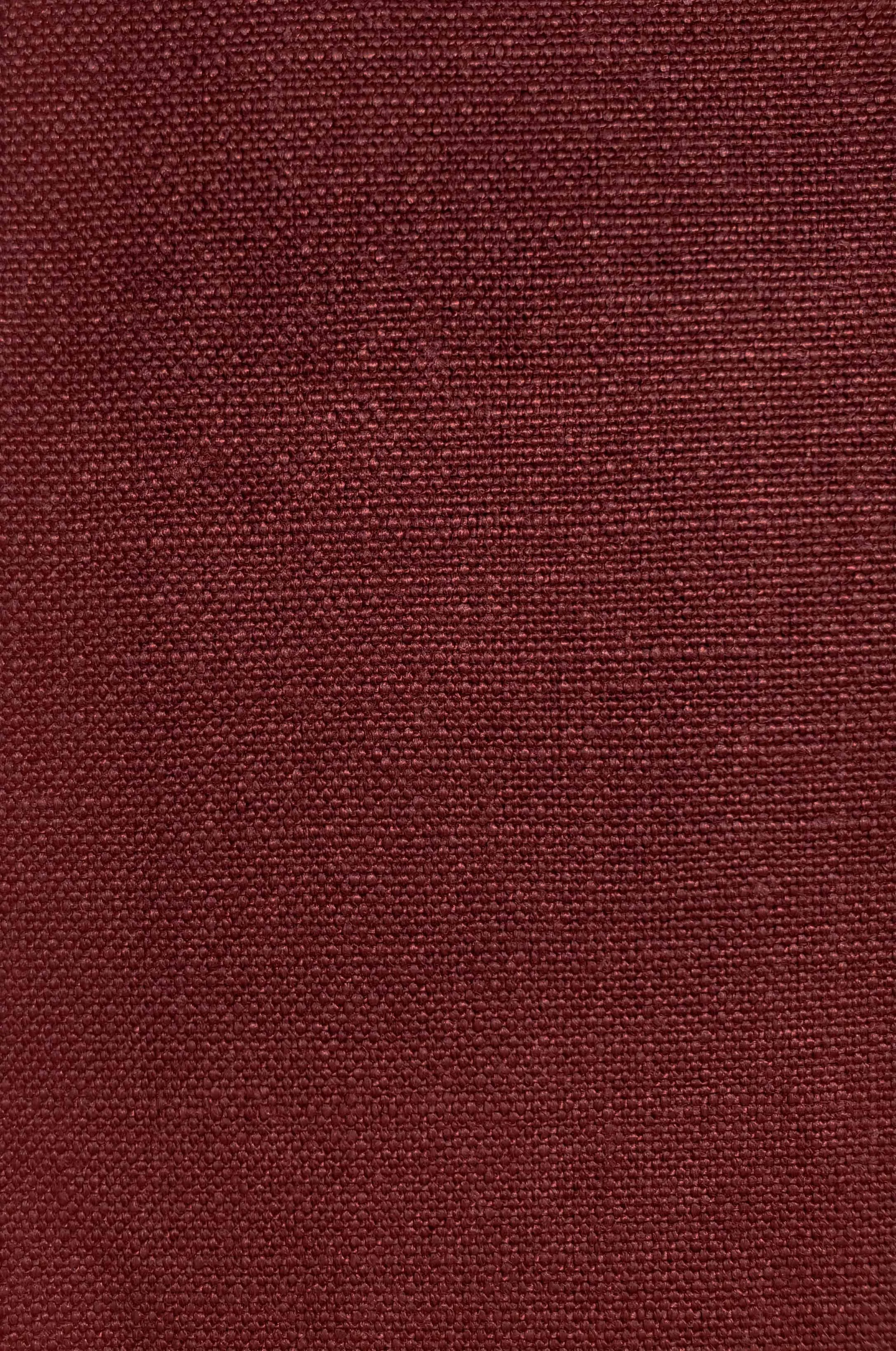 OUTDOOR 1_Red Curry.jpg