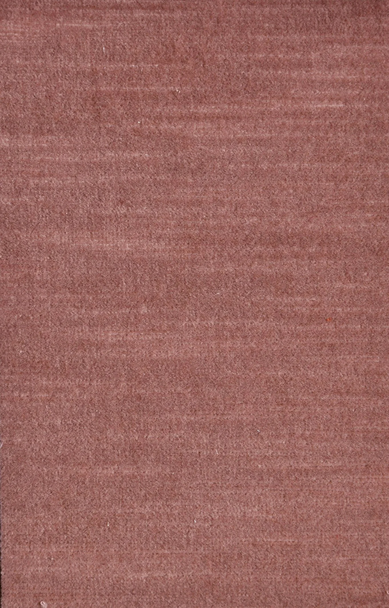 TEXTURED VELVET_sculpted_Echinacea.JPG