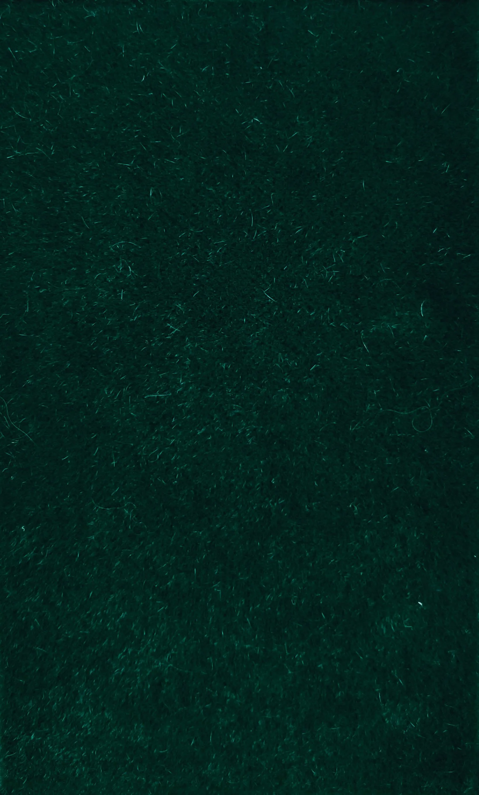 KID MOHAIR_Peacock.jpg