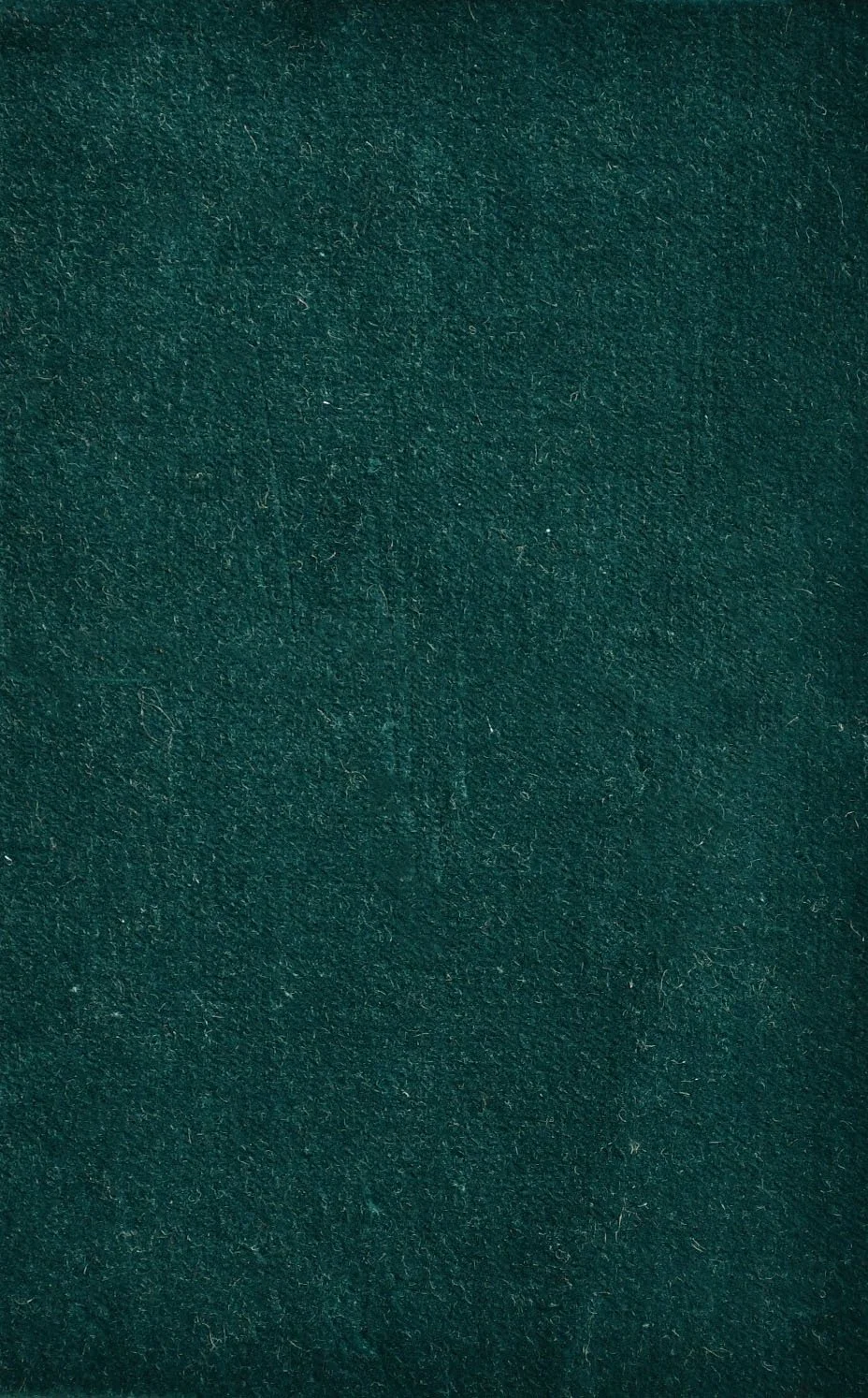 COTTON VELVET_Petrol.JPG