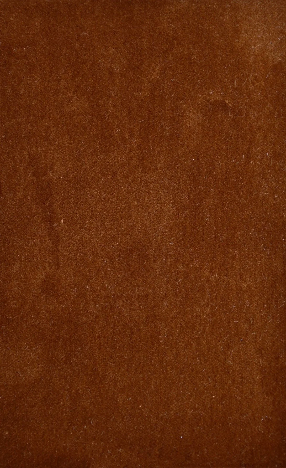 COTTON VELVET_Treacle.JPG