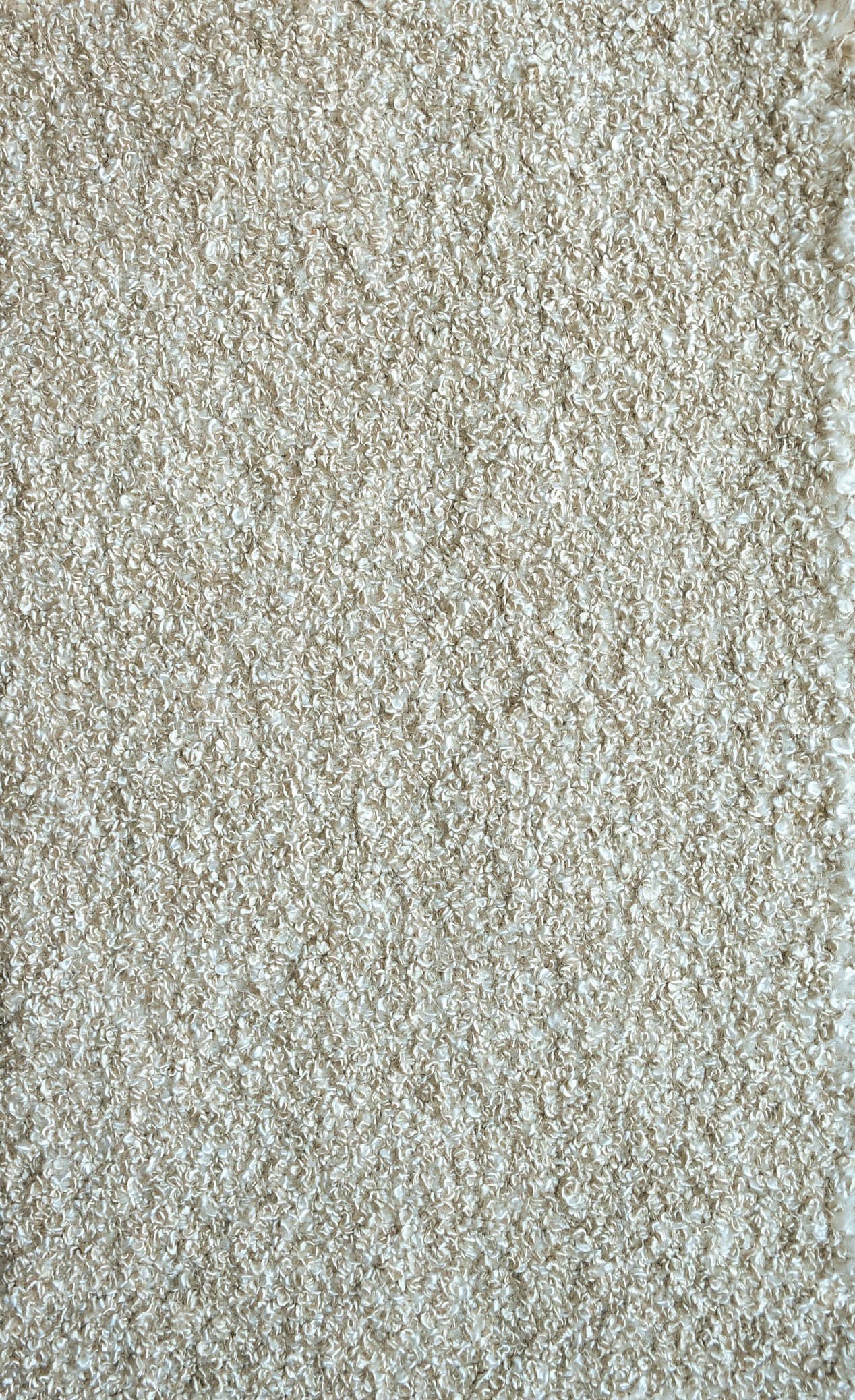 Mocha Silk Mohair Boucle_F-09_Tessier 787.JPG