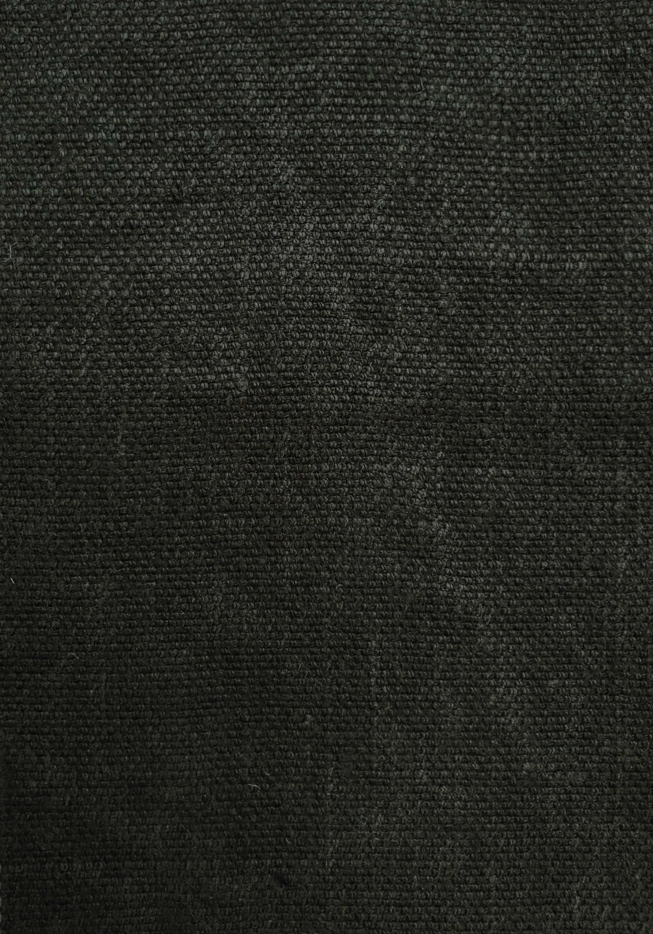 DENSE DELAVE_Daintree Green.jpg