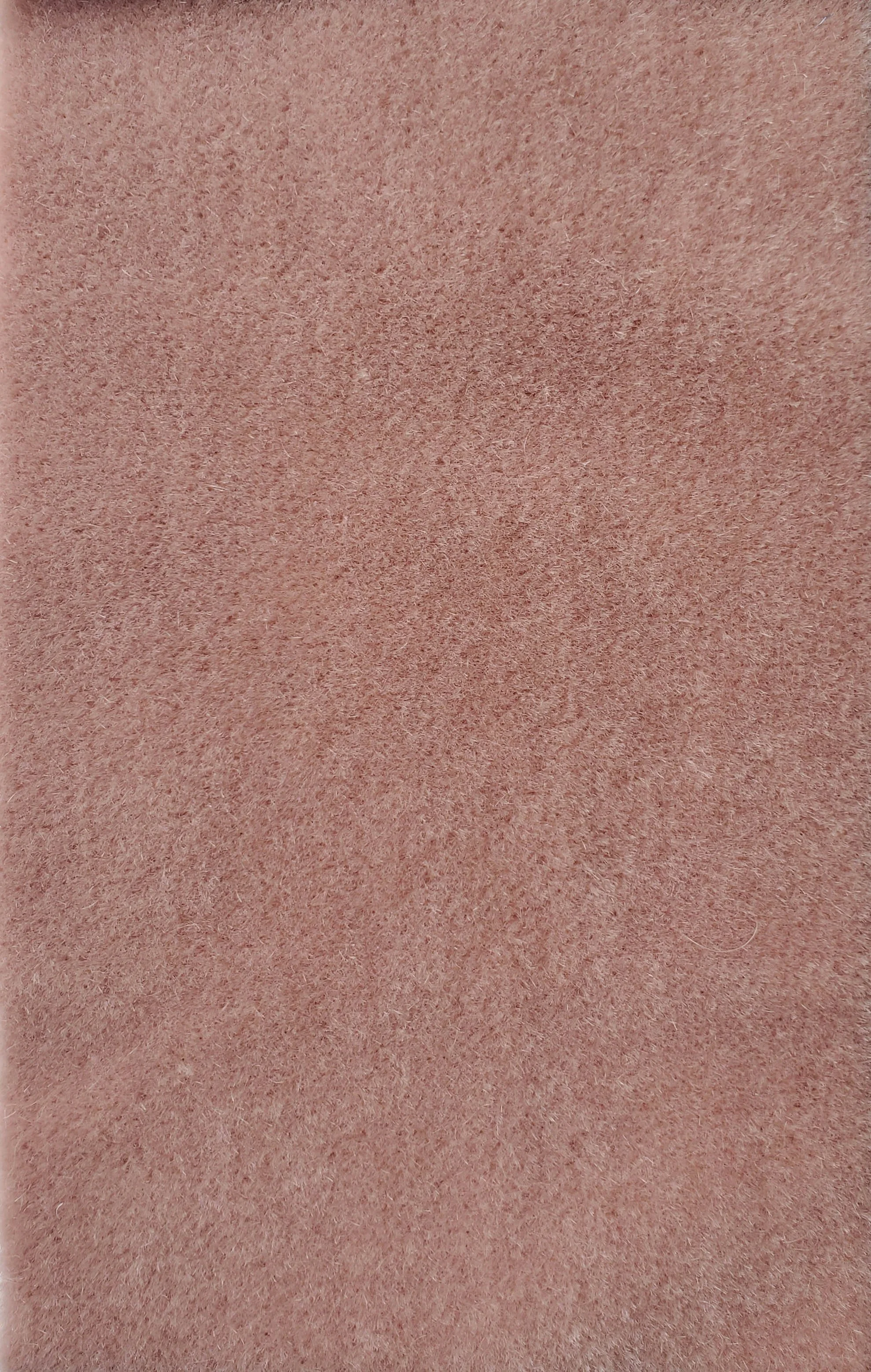 KID MOHAIR_Echinacea.jpg