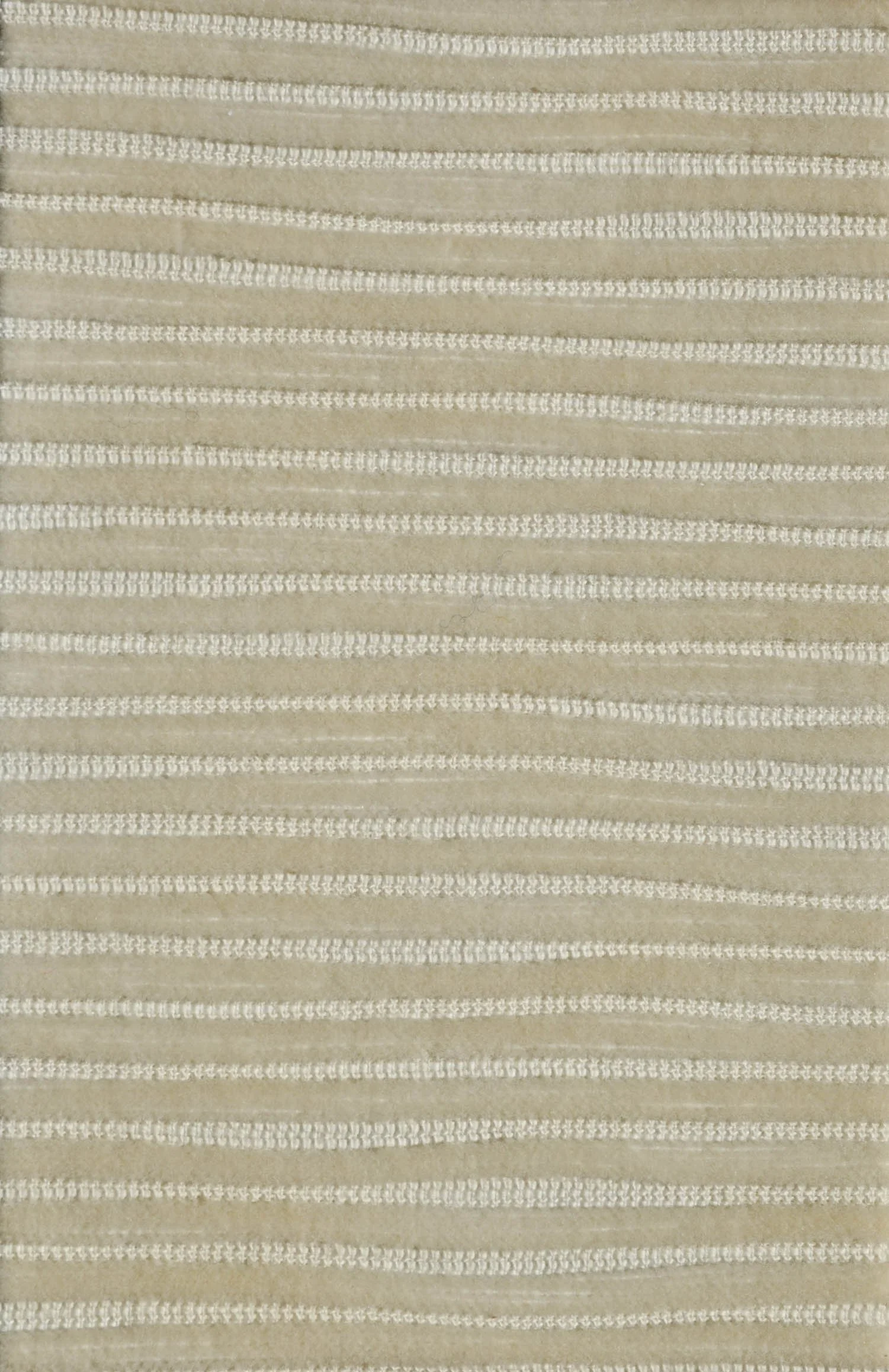 TEXTURED VELVET_Corduroy_Polar_Bear.JPG