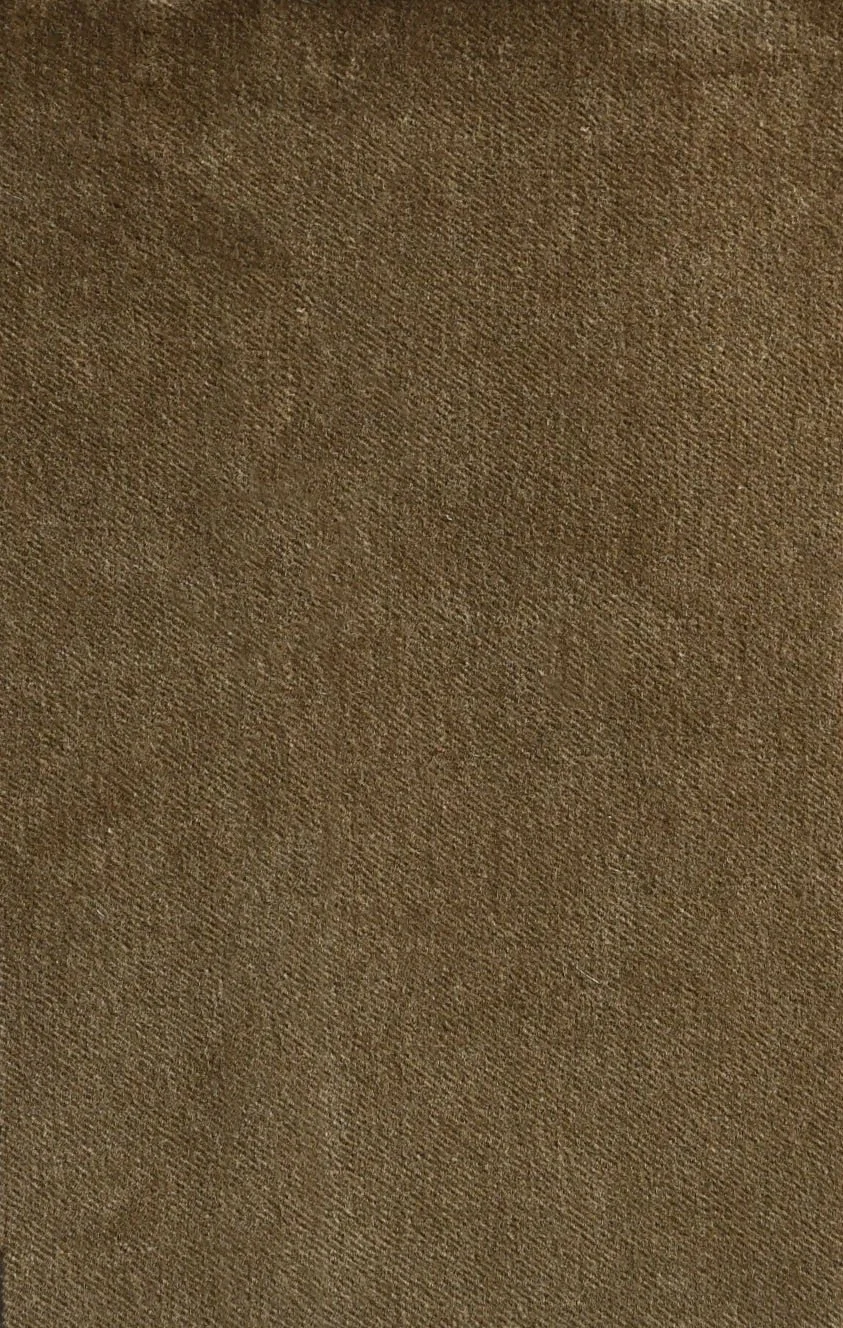 COTTON VELVET_Antelope.JPG