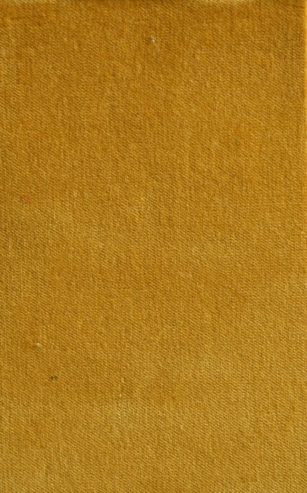COTTON VELVET_Soft Gold.JPG
