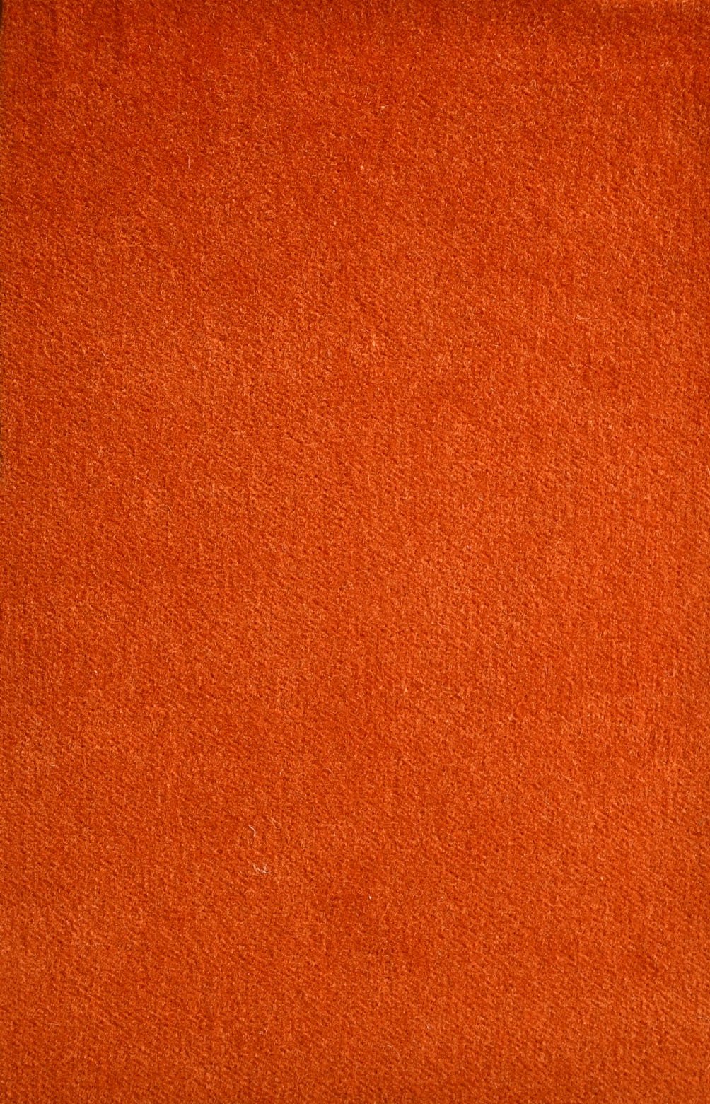 COTTON VELVET_Agay Orange.JPG