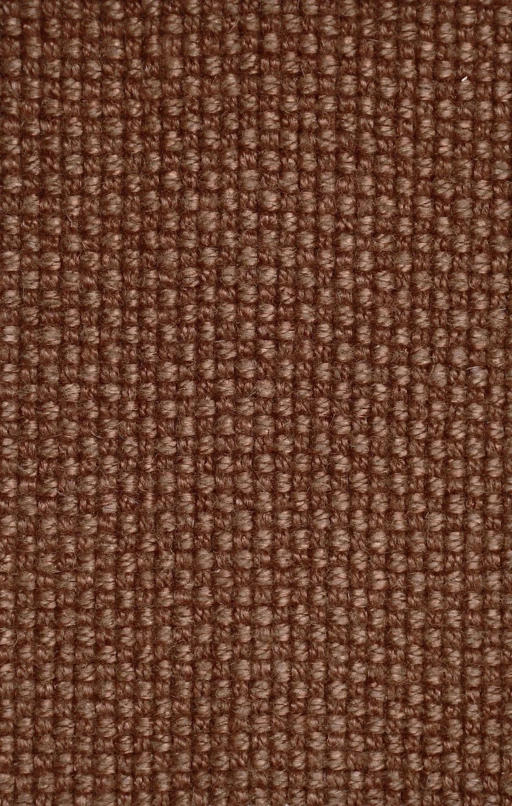 KALANKA Dark Amber.JPG