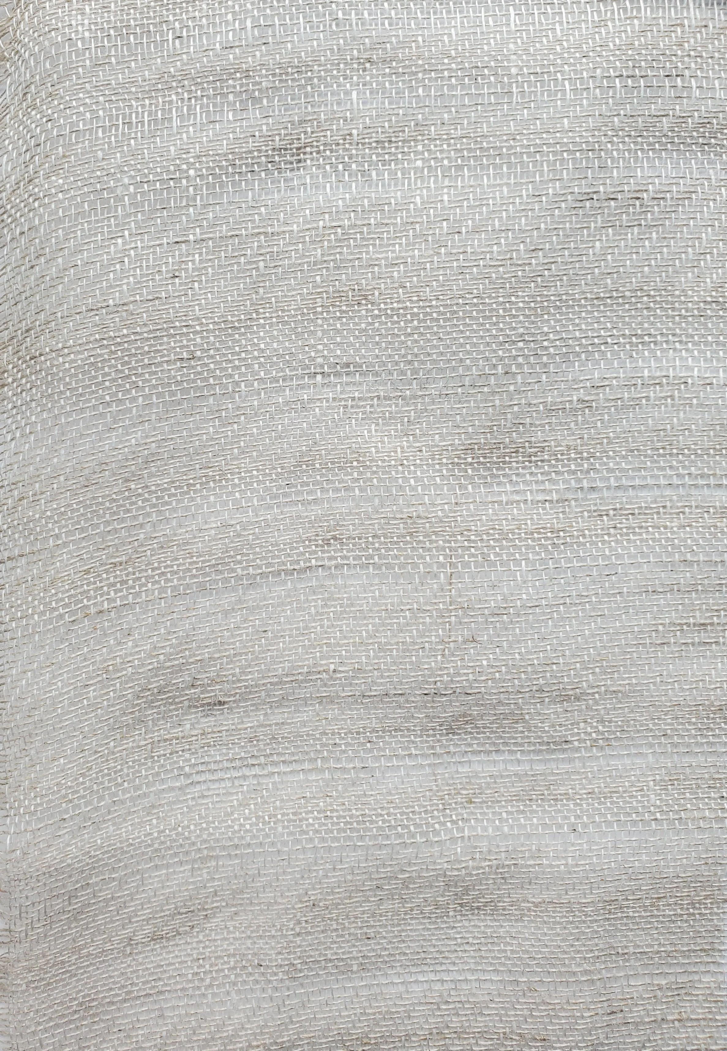 FEATHER SHEER_Osprey.jpg