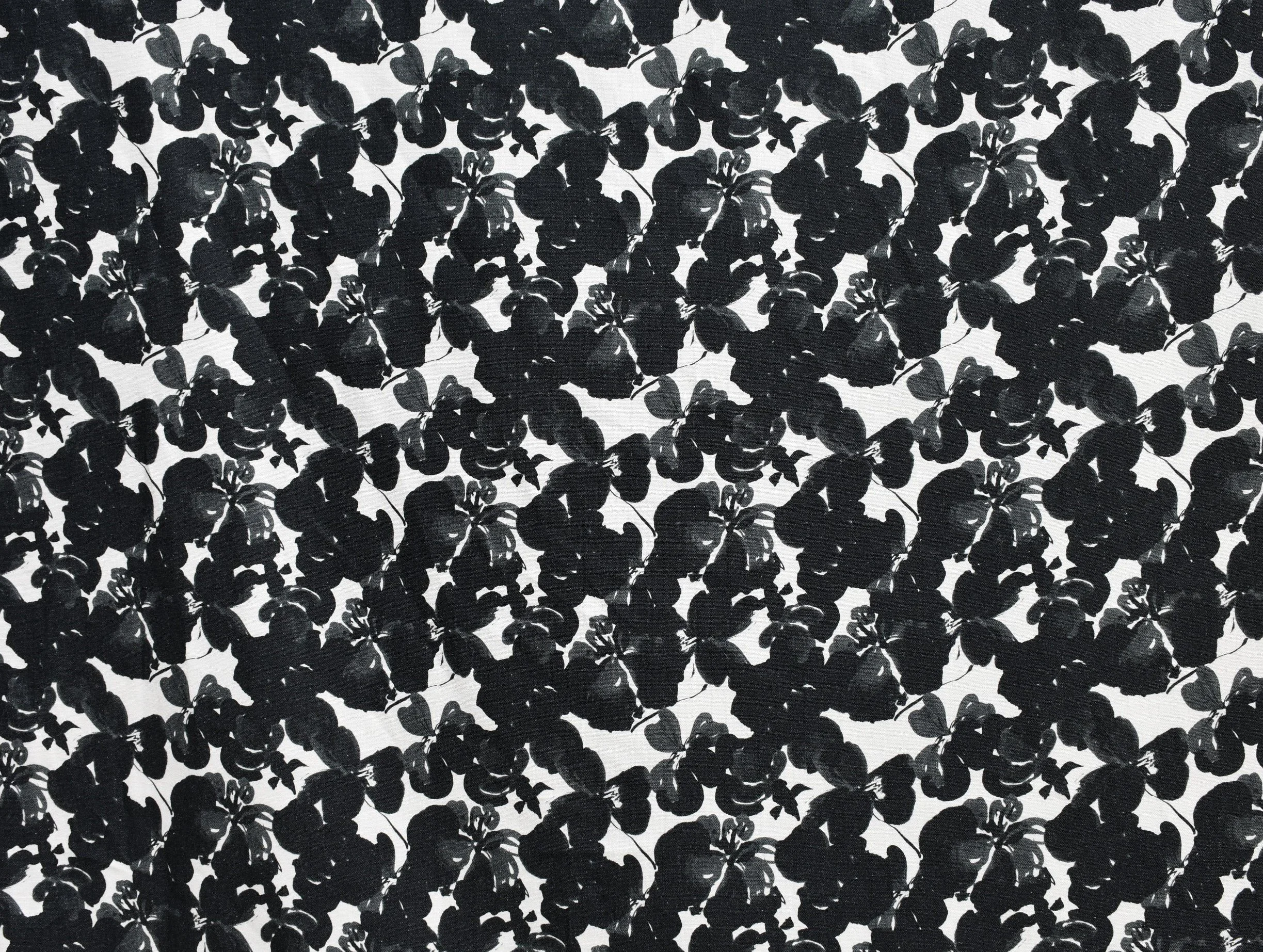 SAPPORO_Squid Ink.JPG