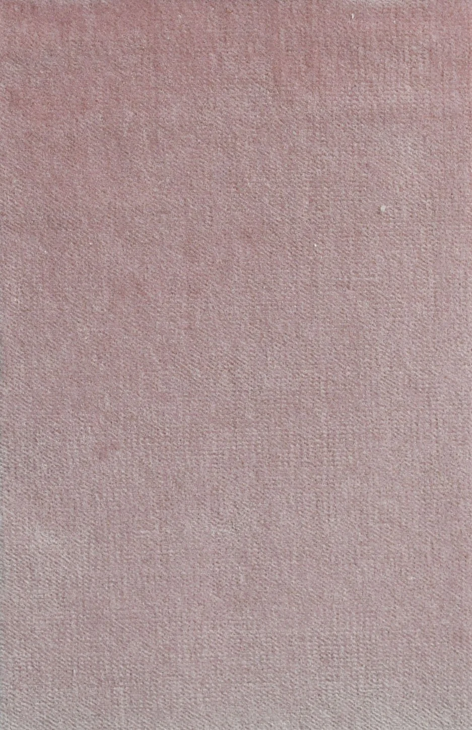 COTTON VELVET_Elizabethan Rose.JPG