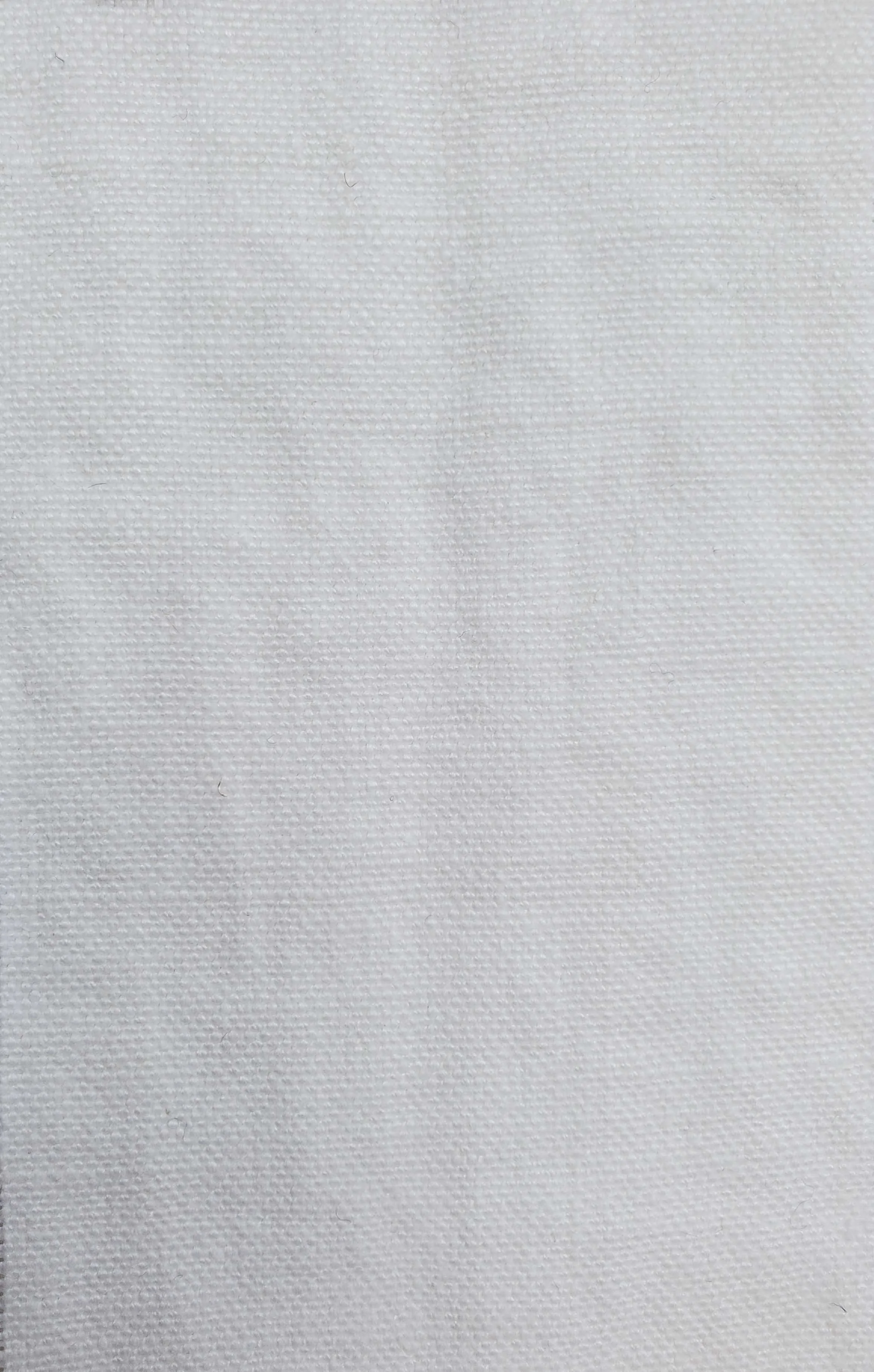 DELAVE_Bright White.jpg